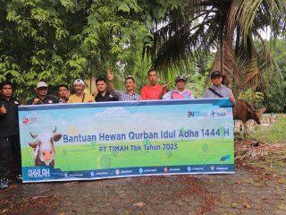 PT Timah Tbk Salurkan 31 Ekor Sapi Kurban ke Kabupaten Karimun dan Meranti