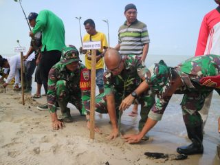Dandim 0317/TBK, Letkol Inf. Budianto Hamdani Damanik melakukan penanaman mangrove di bibir Pantai PT. Layang RT 03 RW 01 Kelurahan Sawang.