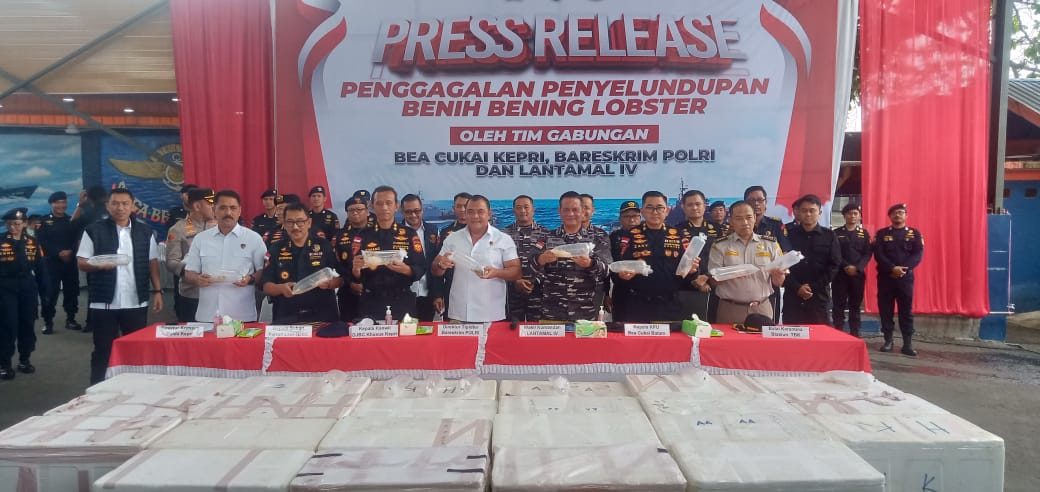 Tim Gabungan antara DJBC Khusus Kepulauan Riau, Bareskrim Polri dan Lantamal IV menggagalkan penyelundupan 237.305 ekor benih lobster.