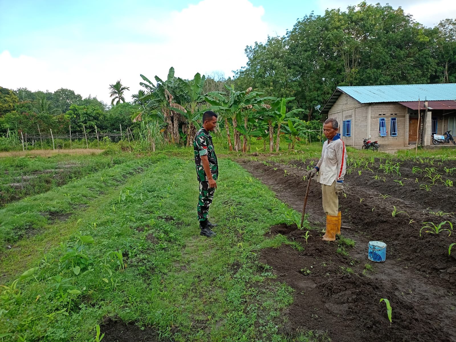 Babinsa Moro, Praka Irvan Frasstyo, dari Koramil 02/Moro Komsos dengan warga yang berprofesi sebagai petani jagung di Kampung Rawa Mangun.