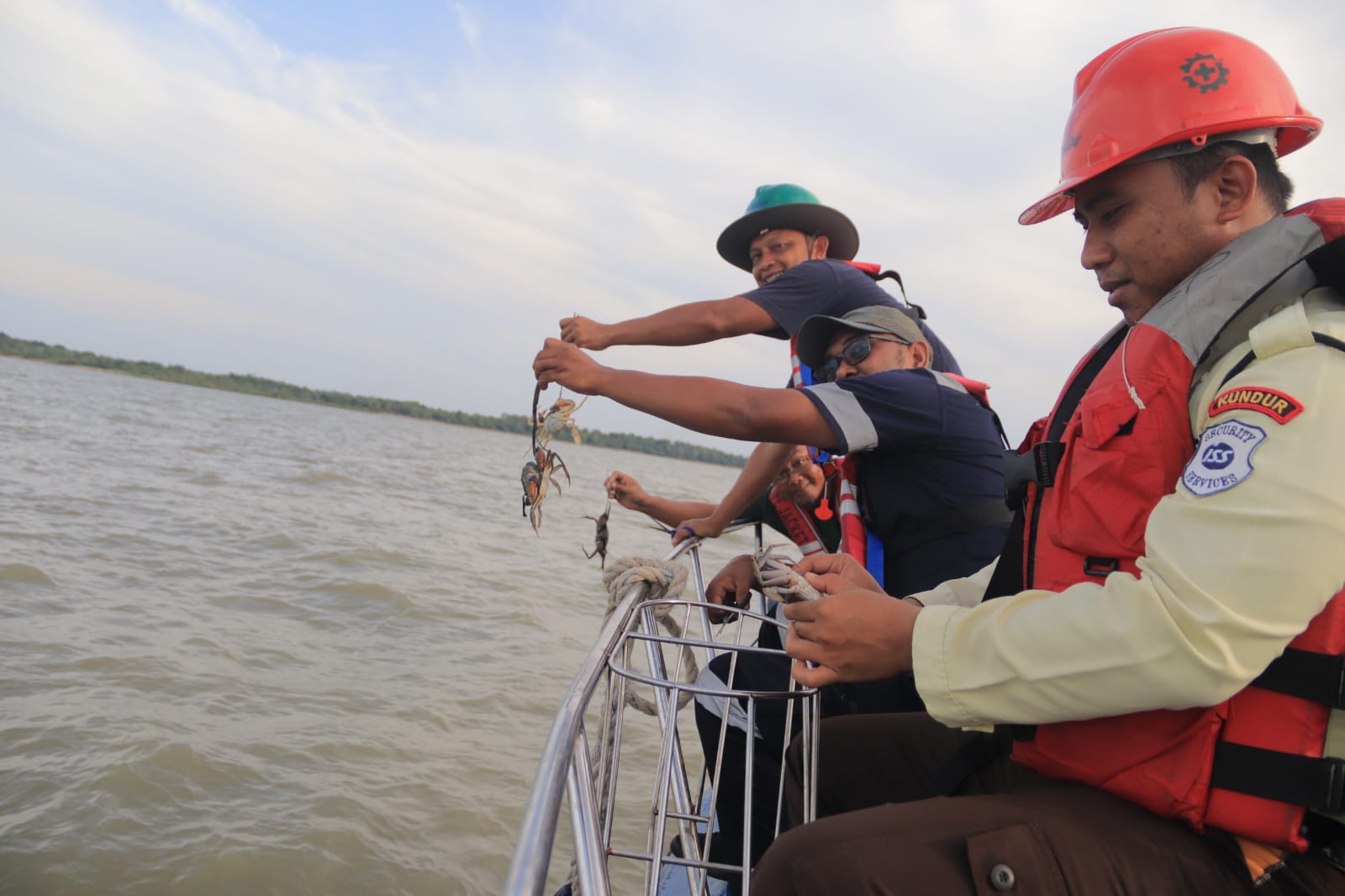 Jaga kelestarian ekosistem pesisir, PT Timah Tbk dengan tanam bibit mangrove hingga restocking atau pelepasan bibit kepiting.