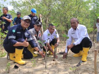 PT Timah Tanam 2500 Bibit Mangrove di Karimun