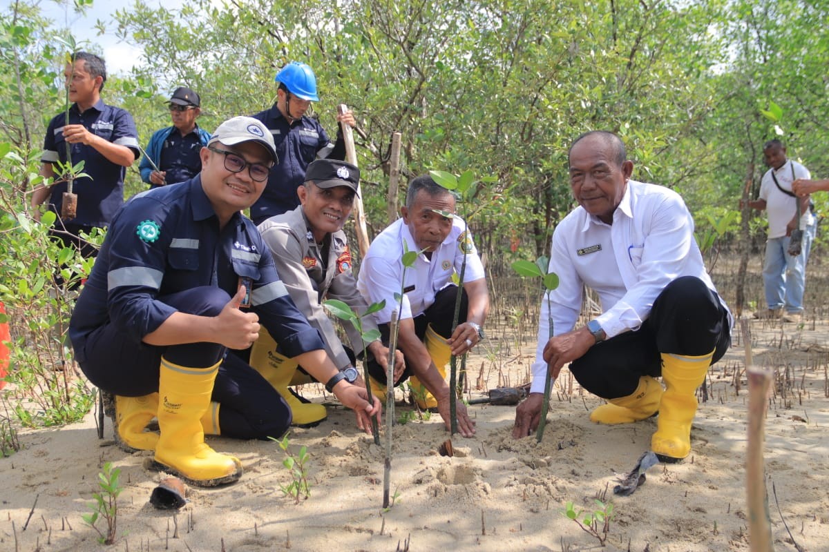 PT Timah Tanam 2500 Bibit Mangrove di Karimun