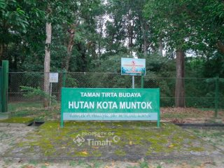PT Timah Jaga Flora Fauna Endemik dan Kawasan Konservasi