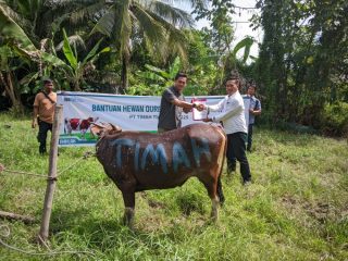 PT Timah Distribusikan Hewan Kurban ke Pulau dan Desa Terpencil di Kabupaten Kepulauan Meranti