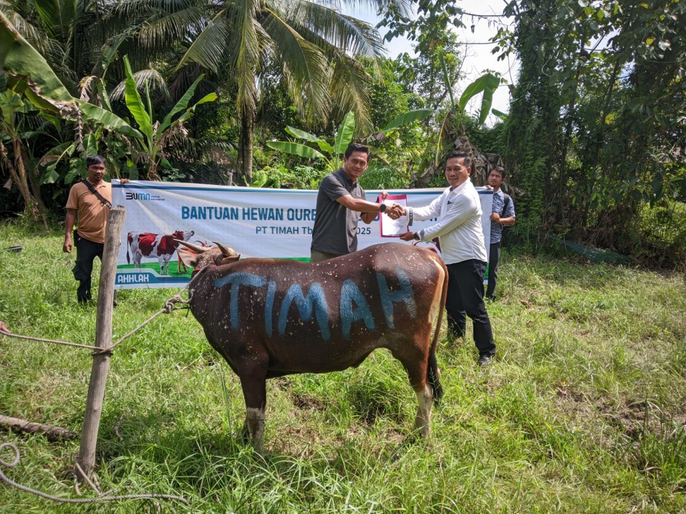 PT Timah Distribusikan Hewan Kurban ke Pulau dan Desa Terpencil di Kabupaten Kepulauan Meranti