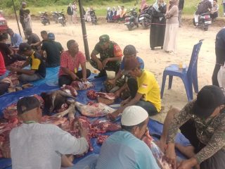 BABINSA KORAMIL 04/TEBING MONITOR PEMOTONGAN HEWAN QURBAN DI KELURAHAN PASIR PANJANG