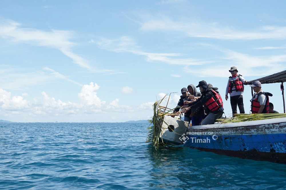 Coral Garden PT Timah: Kolaborasi Rawat Laut yang Hasilkan Ikan, Wisata, dan Harapan Baru