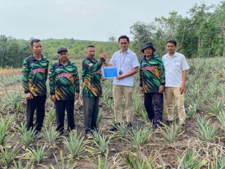 Perkuat Ekonomi Masyarakat, PT Timah Bantu Petani di Kundur Lewat Bibit Tanaman
