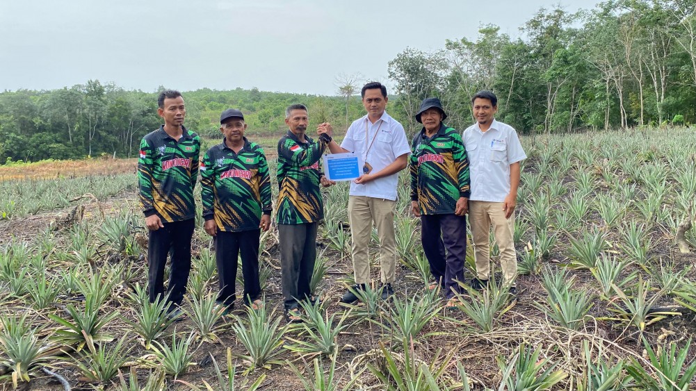 PT Timah Bantu Petani di Kundur Lewat Bibit Tanaman.
