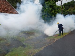 PT Timah Tbk Lakukan Fogging dan Sosialisasi 3M Untuk Cegah DBD