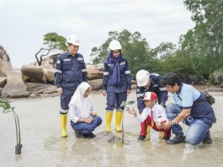 Edukasi Pelajar Soal Lingkungan, PT TIMAH Tbk Tanamkan Kepedulian Lewat Program Mangrove