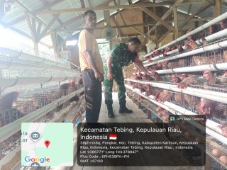 Babinsa Desa Pongkar Laksanakan Komsos dengan Peternak Ayam Petelur