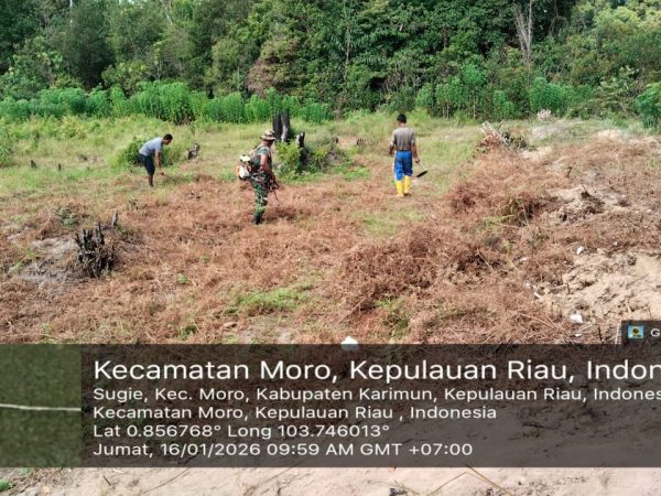 Babinsa Desa Sugie Bersama Warga Bersihkan Lahan Demplot untuk Penanaman Semangka