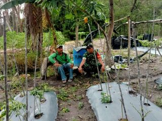 SERKA ATMAJA LAKSANAKAN KOMSOS DENGAN PETANI CABE