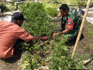 SERTU SURIYONO BERIKAN MOTIVASI KEPADA PETANI DI DARUSSALAM