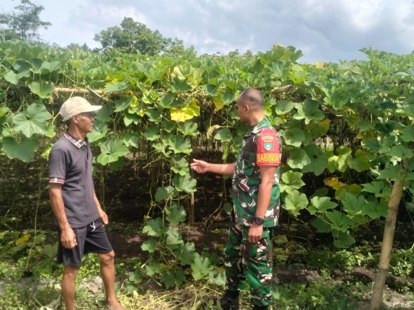 SERDA ERDIWAN HURA BERIKAN MOTIVASI KEPADA PETANI DESA BATU LIMAU