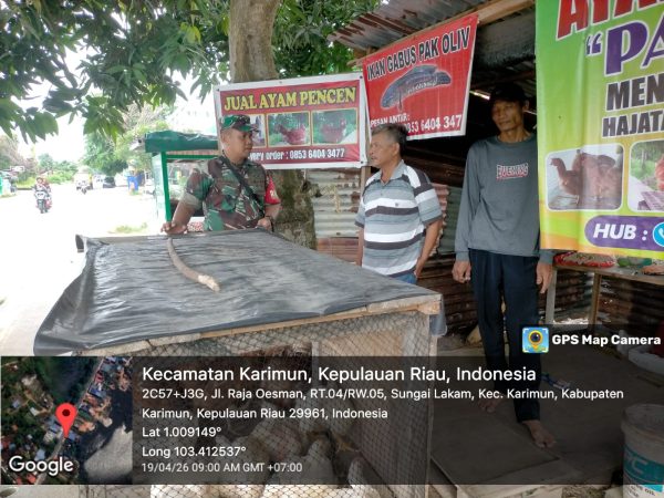 BABINSA KORAMIL 01/BALAI HIMBAU PEDAGANG AYAM JAGA KEBERSIHAN LINGKUNGAN