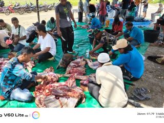 Kurban Sepedas Berjalan Lancar, Babinsa Turun Langsung