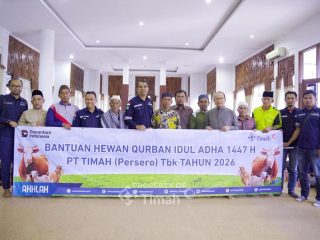 PT TIMAH Hadir untuk Masyarakat, Hewan Kurban Dibagikan ke Desa-Desa Operasional