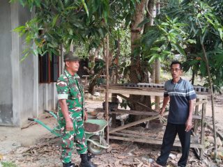 Babinsa Desa Sugie Gerakkan Warga Ubah Lahan Kosong Jadi Produktif