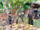 Babinsa Durai Serap Aspirasi Petani Kelapa, Perkuat Ketahanan Wilayah