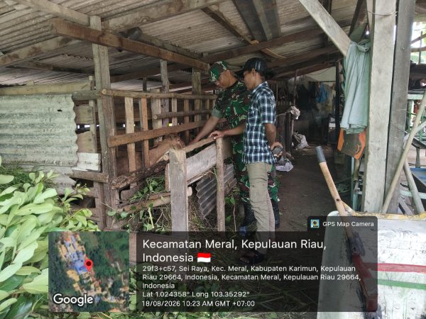 Babinsa Parit Benut Dorong Peternak Kambing Perkuat Ekonomi Keluarga